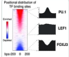 thumbnail image from paper