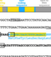 thumbnail image from paper
