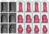 thumbnail image from paper