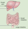thumbnail image from paper