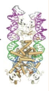 thumbnail image from paper