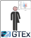 thumbnail image from paper
