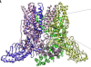 thumbnail image from paper