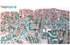 thumbnail image from paper