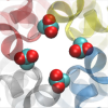 thumbnail image from paper