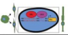 thumbnail image from paper