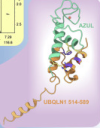 thumbnail image from paper