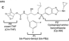 thumbnail image from paper