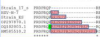thumbnail image from paper