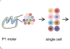 thumbnail image from paper