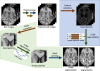 thumbnail image from paper