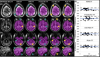 thumbnail image from paper