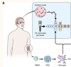 thumbnail image from paper