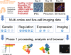 thumbnail image from paper