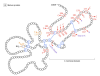 thumbnail image from paper
