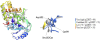 thumbnail image from paper