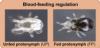 thumbnail image from paper