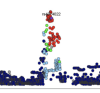 thumbnail image from paper