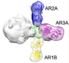 thumbnail image from paper