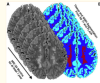 thumbnail image from paper