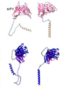 thumbnail image from paper