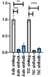 thumbnail image from paper