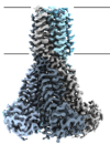thumbnail image from paper