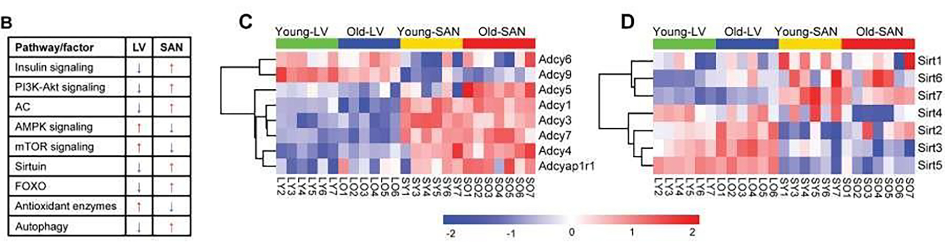thumbnail image from paper