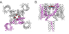 thumbnail image from paper