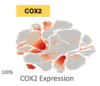 thumbnail image from paper