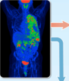 thumbnail image from paper