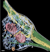 thumbnail image from paper