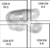 thumbnail image from paper