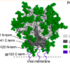thumbnail image from paper