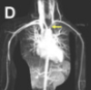 thumbnail image from paper