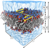 thumbnail image from paper