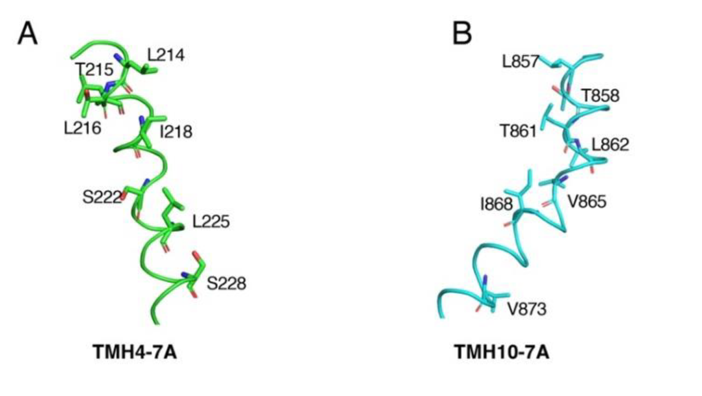 thumbnail image from paper