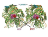 thumbnail image from paper