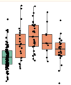 thumbnail image from paper