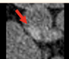 thumbnail image from paper