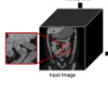 thumbnail image from paper