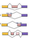 thumbnail image from paper