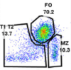 thumbnail image from paper
