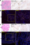 thumbnail image from paper