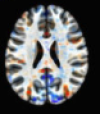 thumbnail image from paper