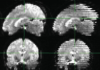 thumbnail image from paper