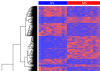 thumbnail image from paper