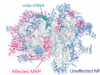 thumbnail image from paper