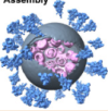 thumbnail image from paper