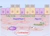 thumbnail image from paper